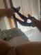 Foto privada de Gattina_Regina